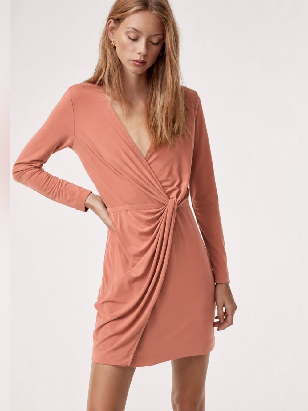 Aritzia Babaton Jeff Dress
